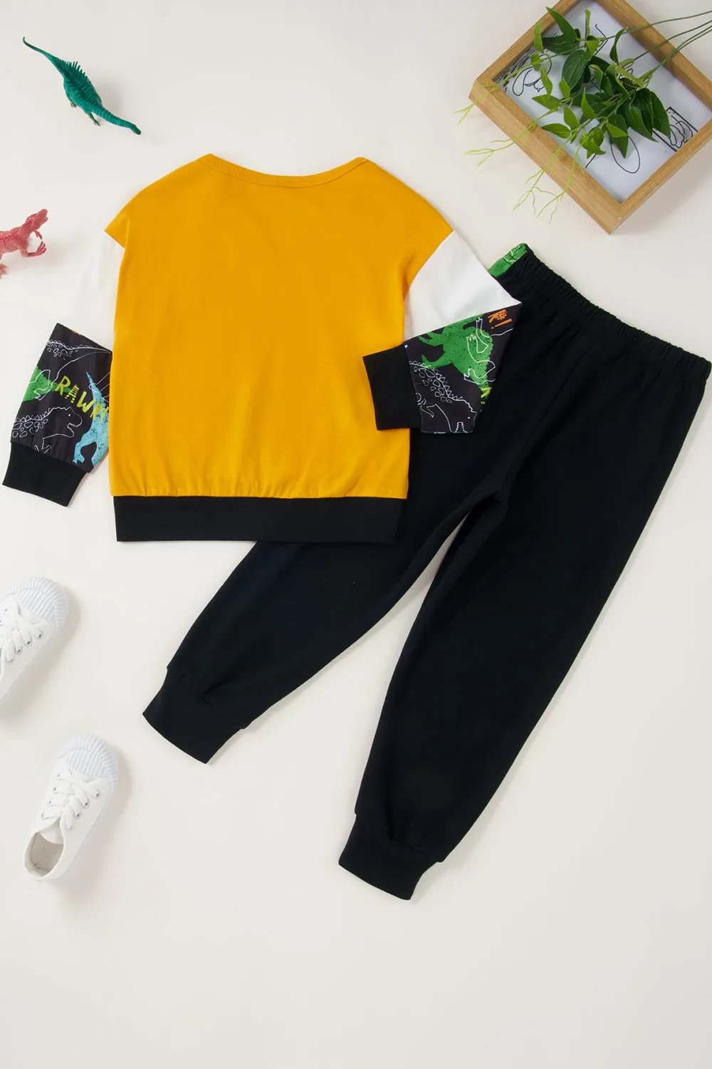 *App Exclusive* Boys Dinosaur Color Block Tee and Pants Set