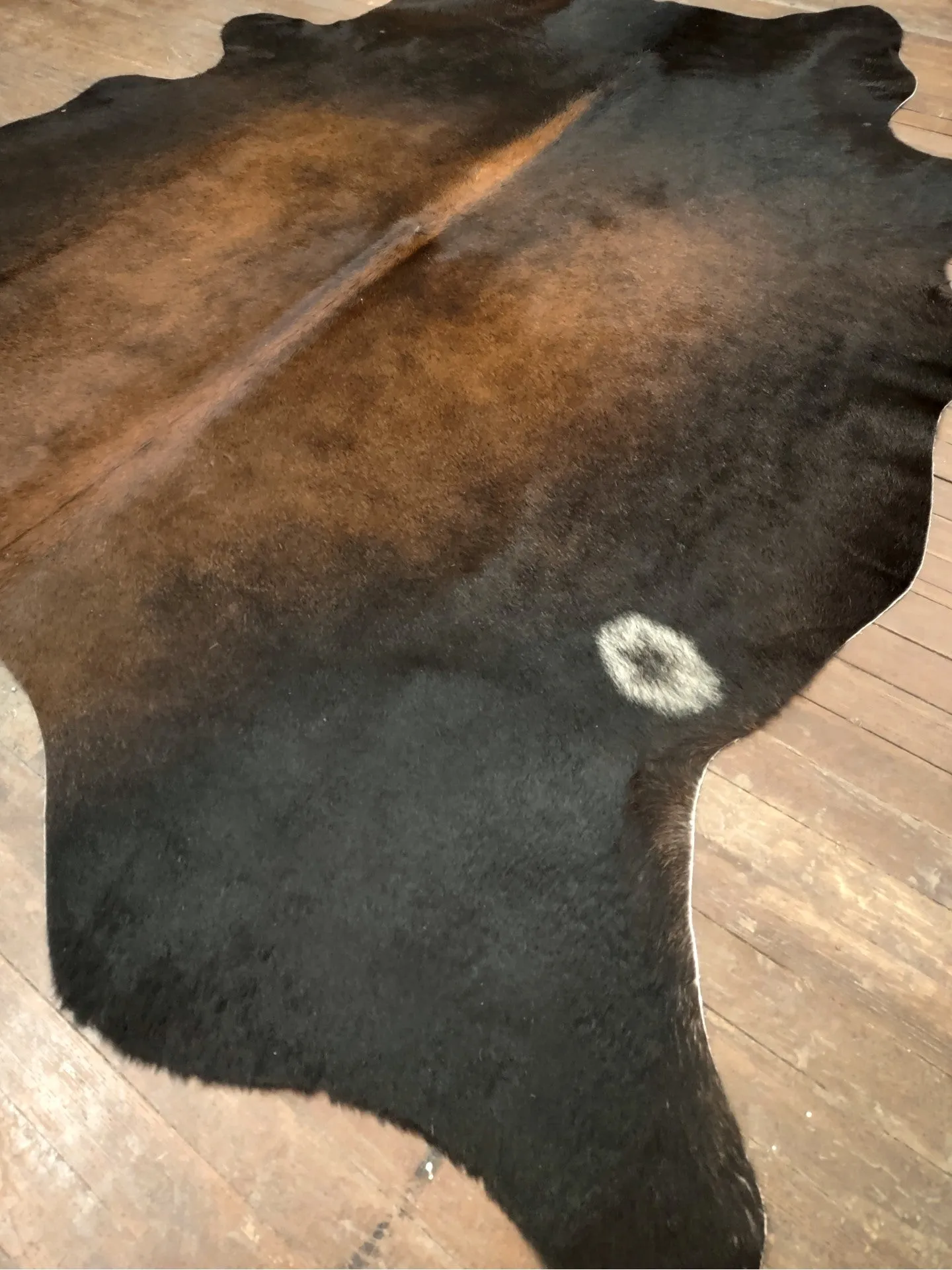 Black & Reddish Brown Cowhide Rug #2948