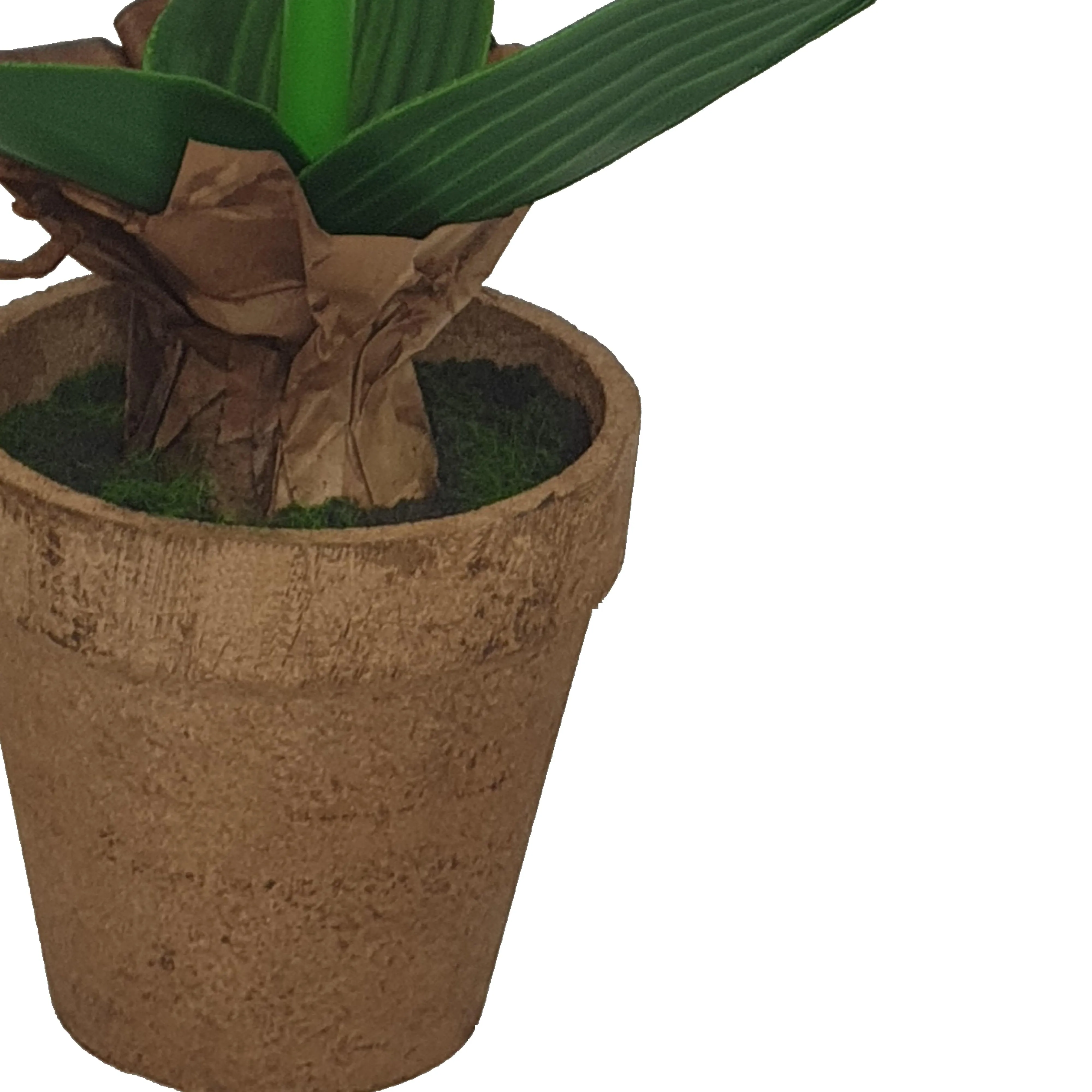 White Flower Pot 40cm Artificial Plant by Criterion