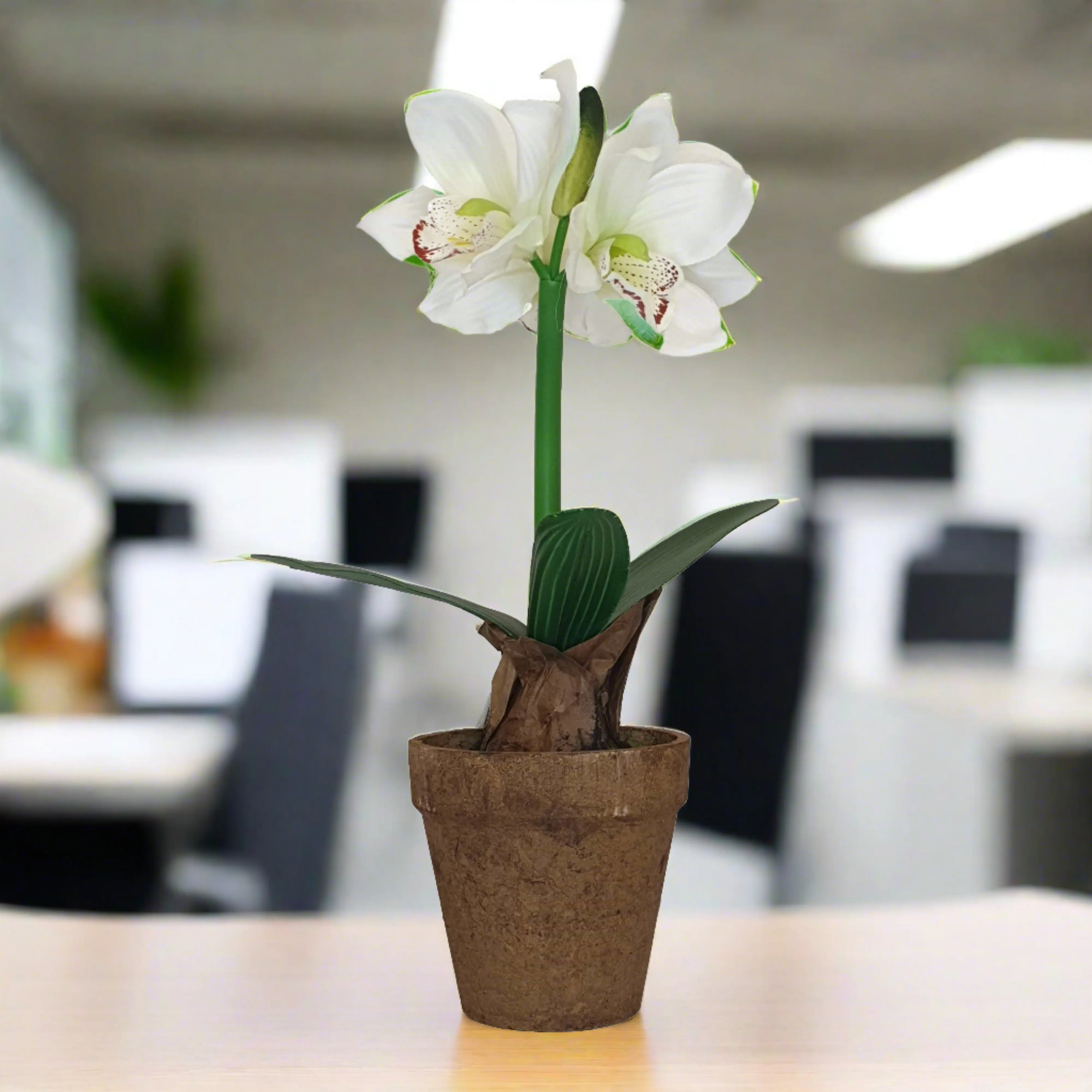 White Flower Pot 40cm Artificial Plant by Criterion